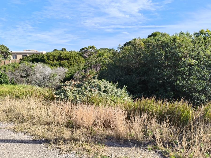0 Bedroom Property for Sale in Paradise Beach Eastern Cape